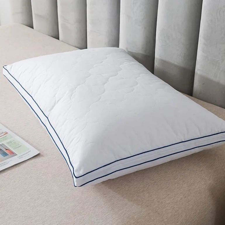Royal Velvet European Down Blend Surround Pillow