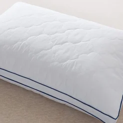 Royal Velvet European Down Blend Surround Pillow