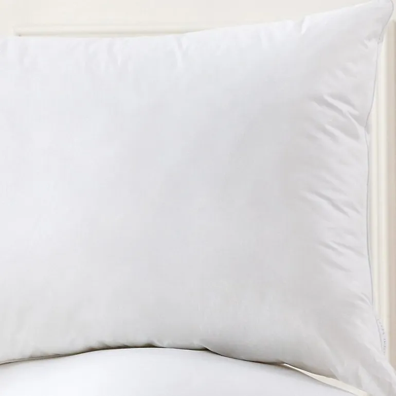Royal Velvet Feather Down Blend Pillow Set Of 2