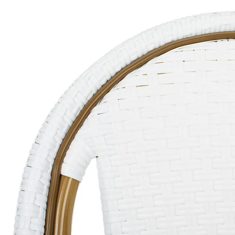 Salcha Rattan 2 Pc Patio Chairs