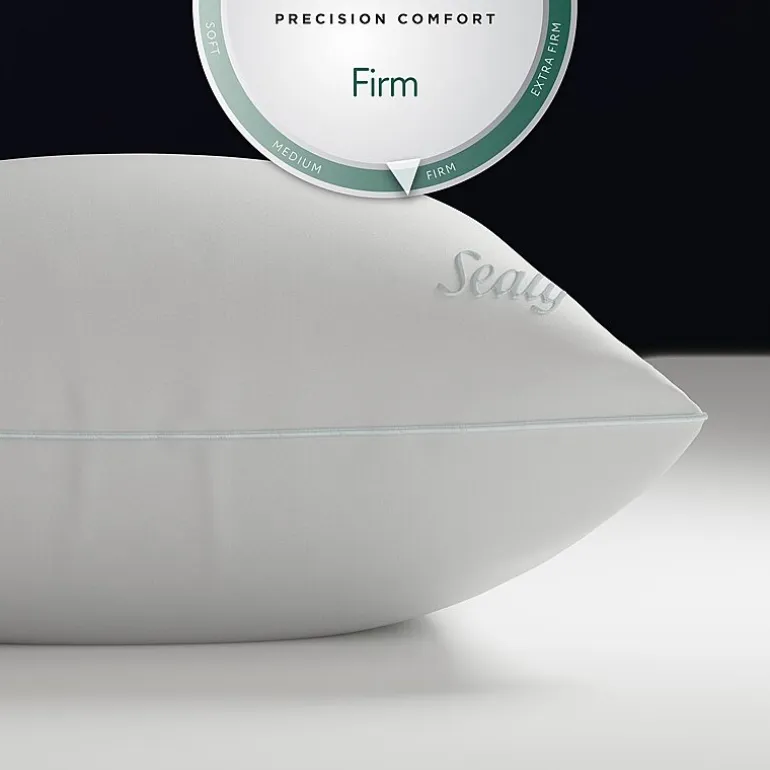Sealy DreamTouch Firm Support Pillow