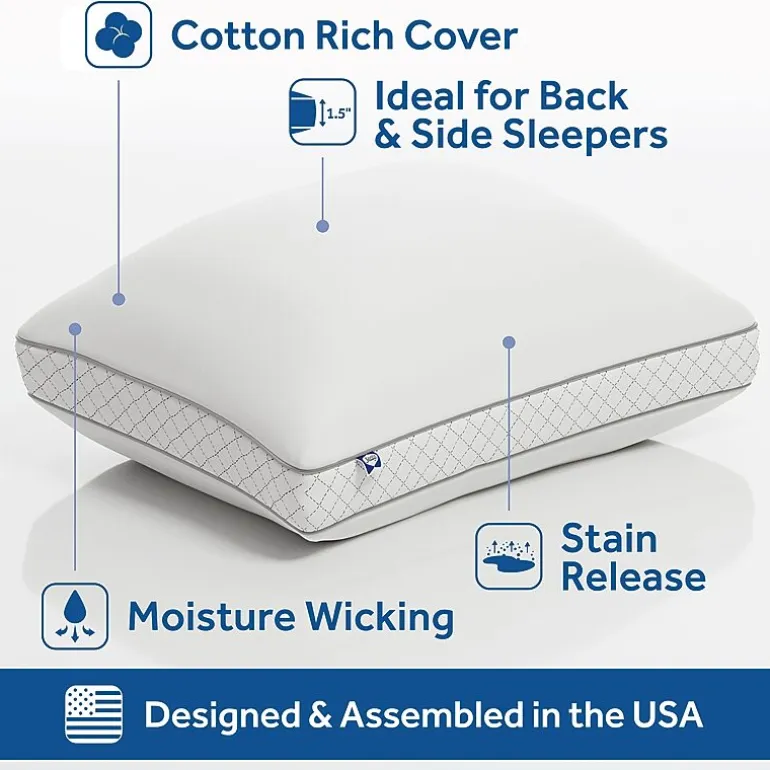 Sealy EternaLoft Firm Support Pillow