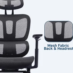 Sealy® Hxley Ergonomic Design Adjustable Height Office Chair