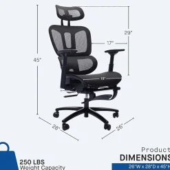 Sealy® Hxley Ergonomic Design Adjustable Height Office Chair