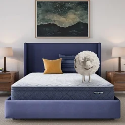Serta Five Star Mattress 10