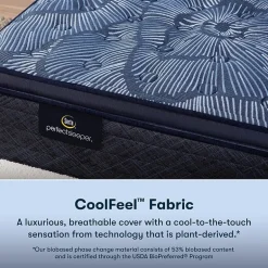 Serta Perfect Sleeper Cobalt Calm Plus 14.5