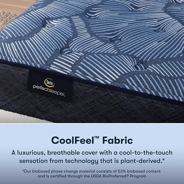 Serta Perfect Sleeper Cobalt Calm 13.25" Plush Tight Top - Mattress + Box Spring