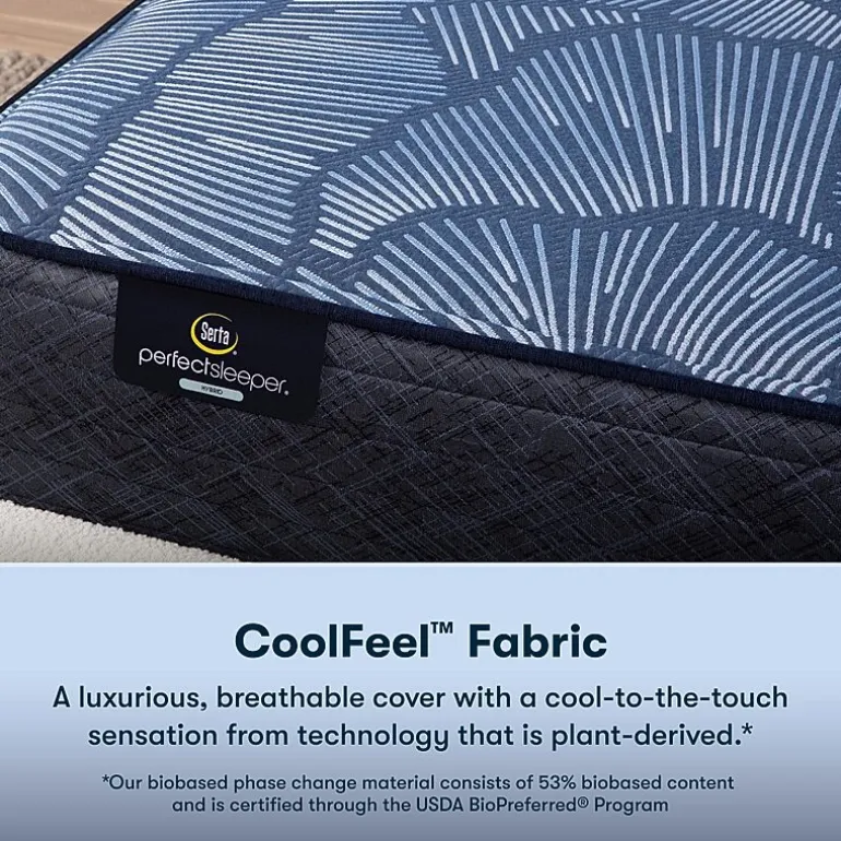 Serta Perfect Sleeper Euphoric Nights 14" Hybrid Plush - Mattress + Box Spring