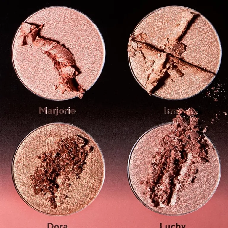 Shades By Shan The Highlight Palette