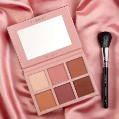 Sigma Beauty F10 Powder/Blush Brush