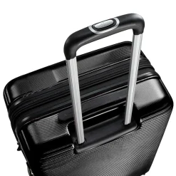 Skyway Chesapeake 4.0 20 Inch Hardside Expandable Carry-On Spinner Luggage