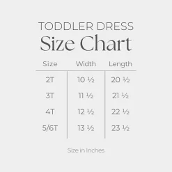 The Juniper Shop - Denim Butterfly Faux Patchwork - Toddler Graphic Dress