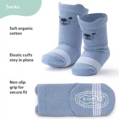 The Peanutshell Baby Boys 12 Pair Crew Socks
