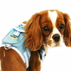 The Pet Life Mesh Pet Harness With Pouch
