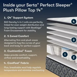 The Serta Perfect Sleeper Mondale 14" Plush Pillow Top - Mattress + Box Spring