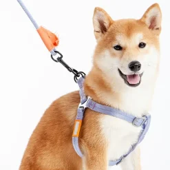 Touchdog Macaron' 2-In-1 Durable Nylon Leash Dog Harness
