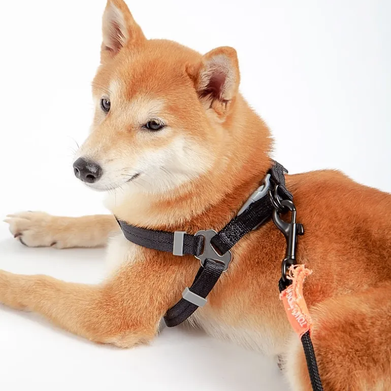 Touchdog Macaron' 2-In-1 Durable Nylon Leash Dog Harness