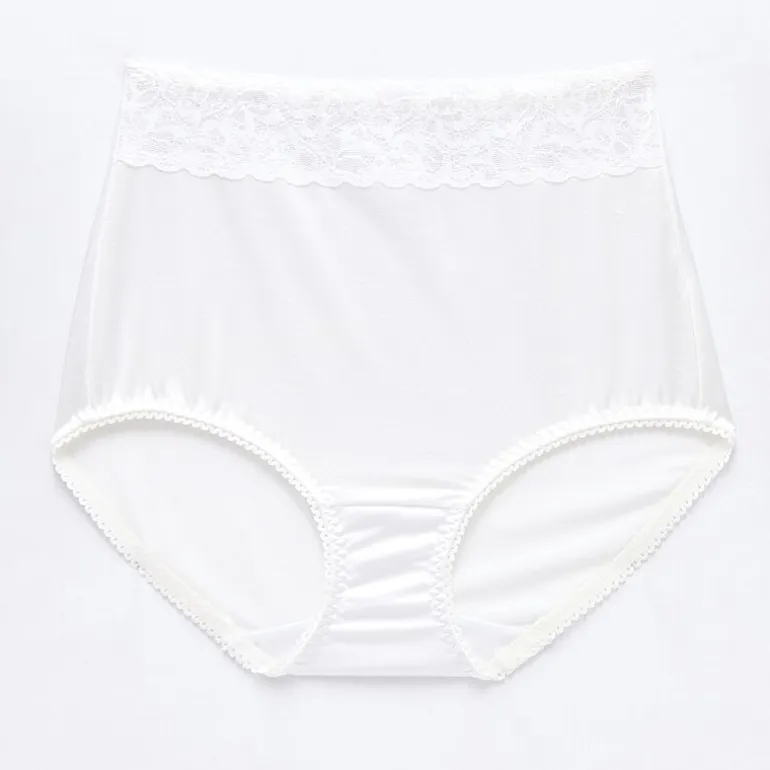 Underscore Rainbow Stretch Satin Lace Trim Control Briefs