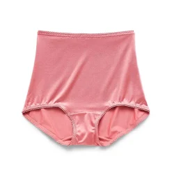 Underscore Rainbow Stretch Satin Control Briefs