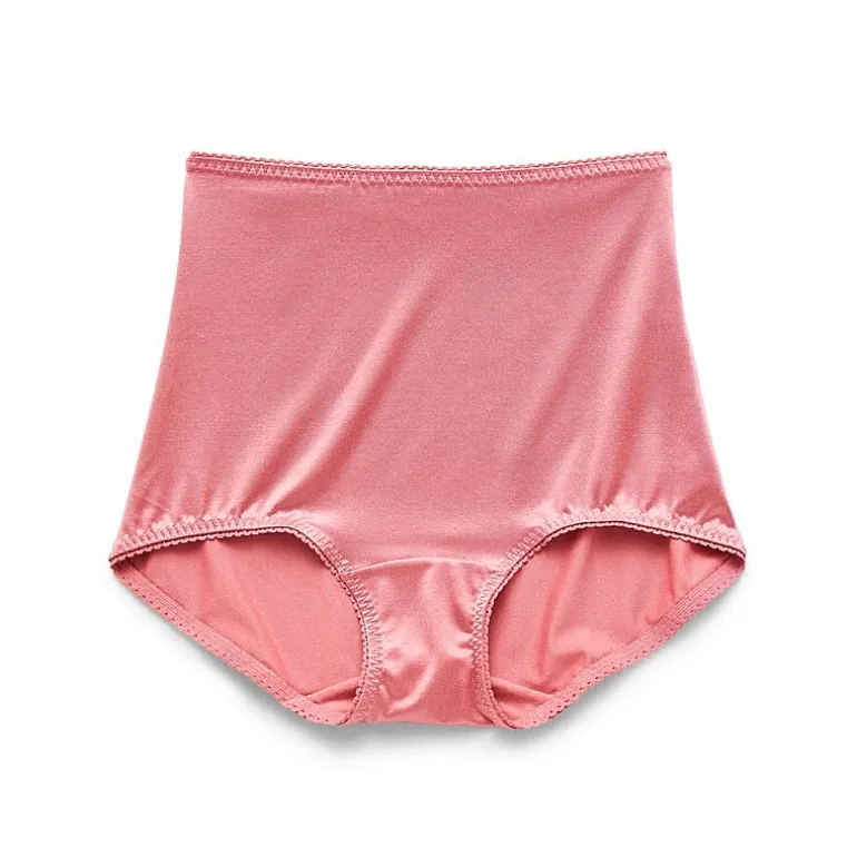 Underscore Rainbow Stretch Satin Control Briefs