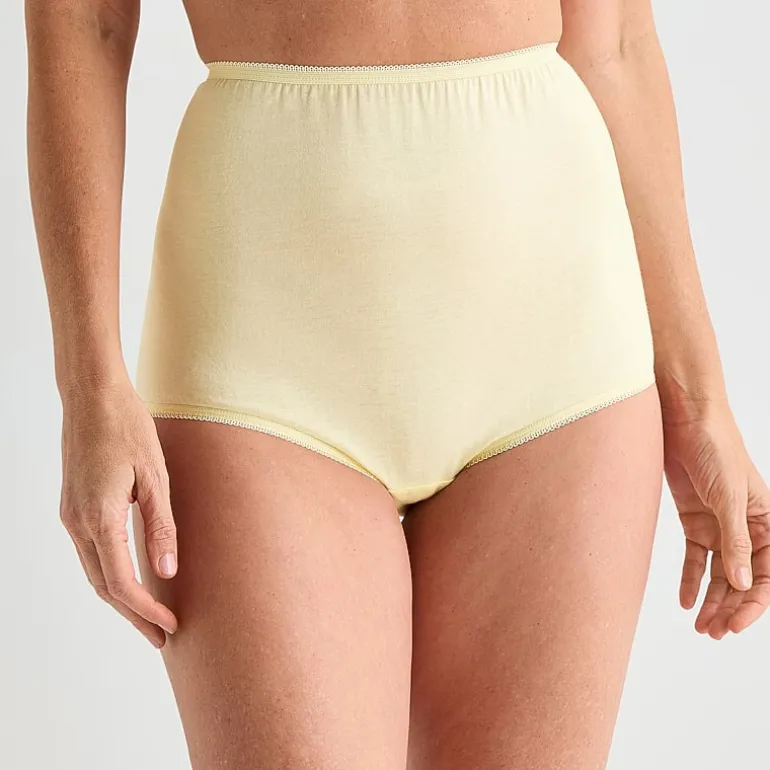 Underscore Womens Cotton Brief Panty