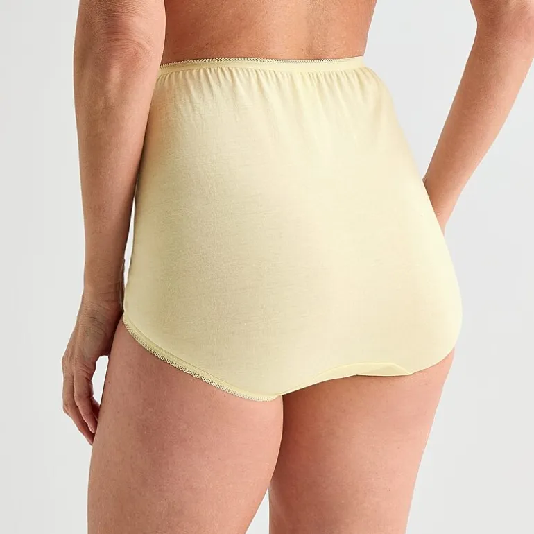 Underscore Womens Cotton Brief Panty