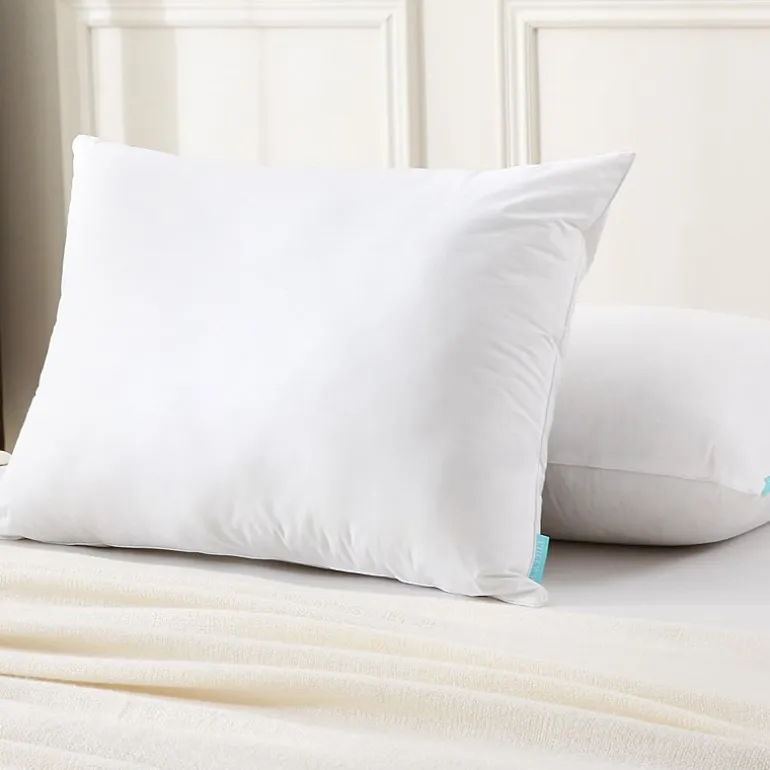 Waverly Feather And Down Blend Pillow Set Of 2