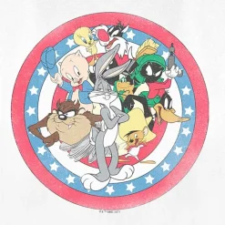 Womens Juniors Crew Neck Short Sleeve Regular Fit Looney Tunes Graphic T-Shirt